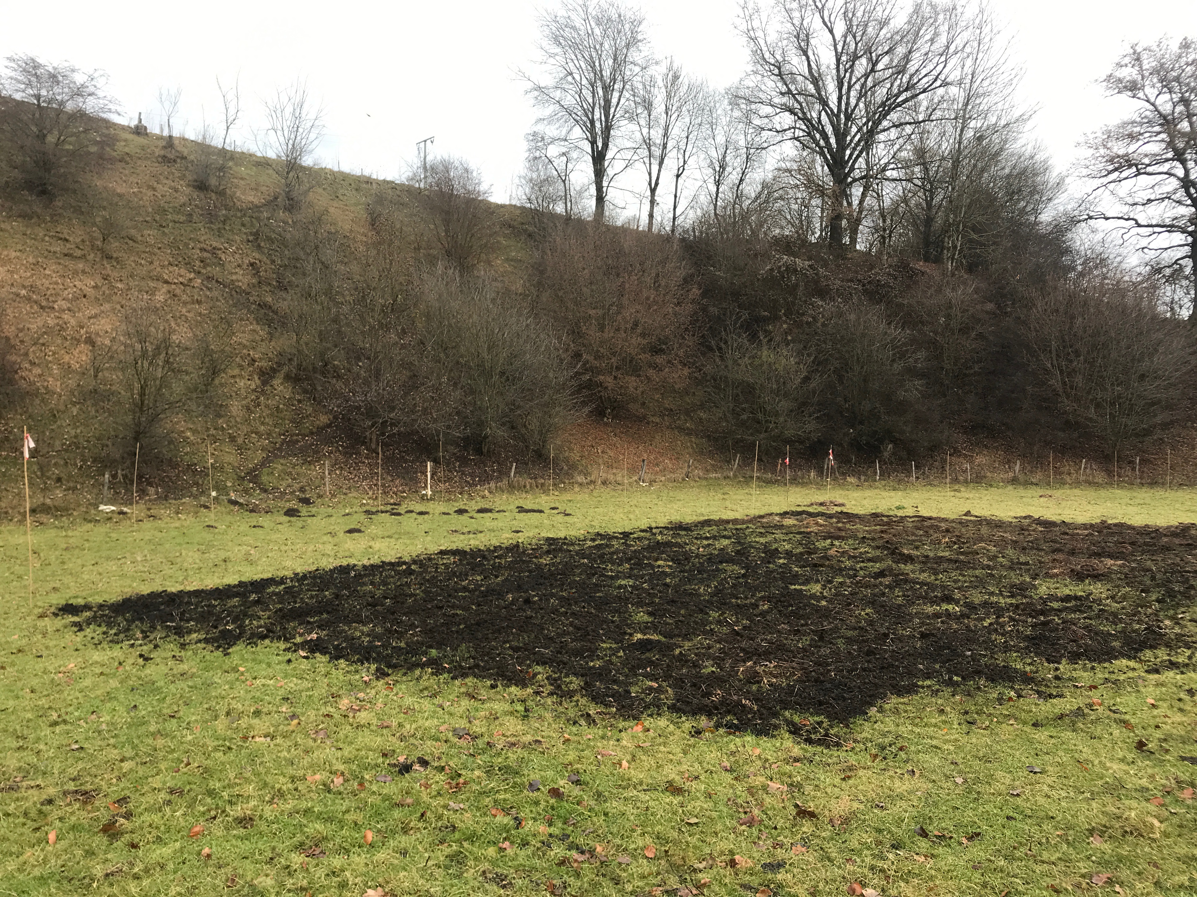 Ein mit Kompost und Pflanzenkohle bestreutes Grünlandbeet, welches noch abgemulcht wird